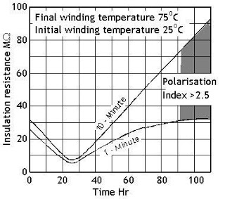 Polarization Index Test or PI Test