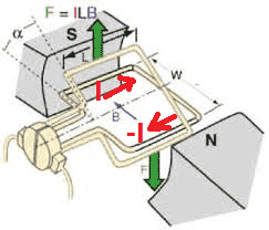force acting on left hand side and right hand side coil in a dc motor