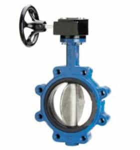 butterfly valve