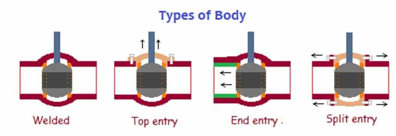 types of body