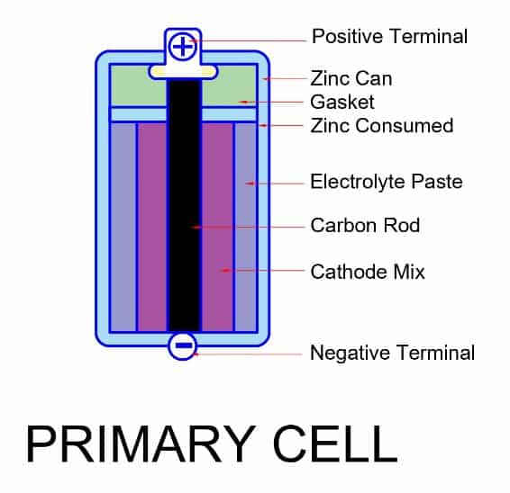 primary cell diagram