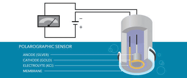 Polarographic Dissolved Oxygen Sensors