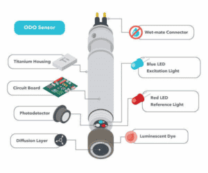 Dissolved Oxygen Analyzer Working Principle