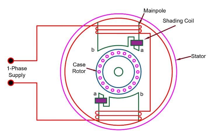 2 pole shaded pole induction motor