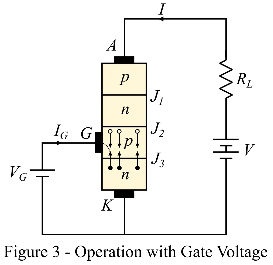 working of SCR when gate is positive wrt cathode