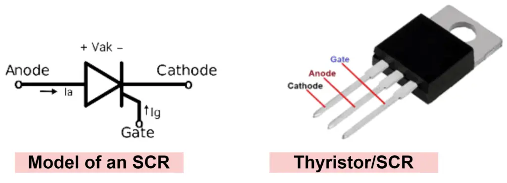 Model of SCR