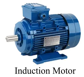 Induction Motor