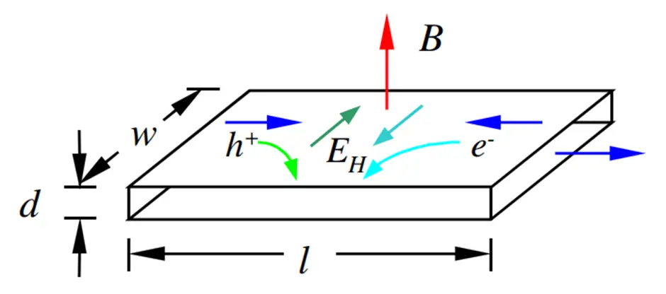 A conducting strip of length l, width w, and diameter d immersed in a magnetic field B