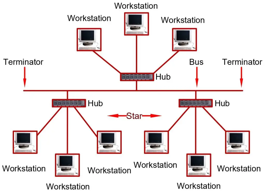 Tree Topology