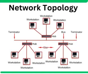 Types of Network Topology