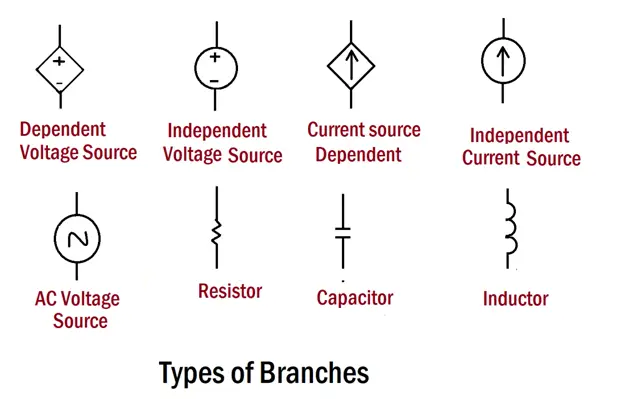 types of branches